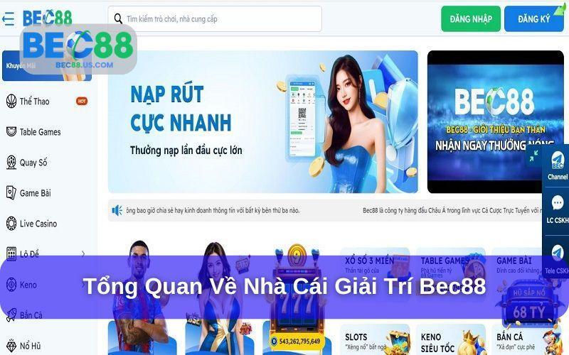 Hướng dẫn phát triển | Hỗ trợ toàn diện, giúp bạn phát triển nhanh chóng 🚀📚