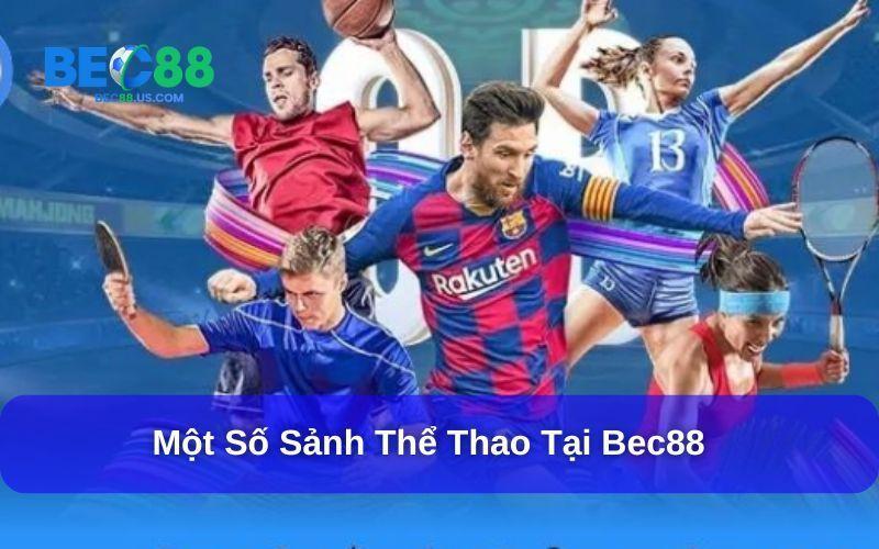 Hoàn Tiền Thua Cược — “Hộp Bảo Hiểm” Tài Chính An Toàn